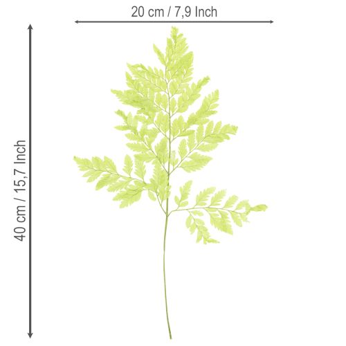 Itens Samambaias: Material natural preservado de alta qualidade para projetos de decoração duradouros, 40 cm, 10 peças