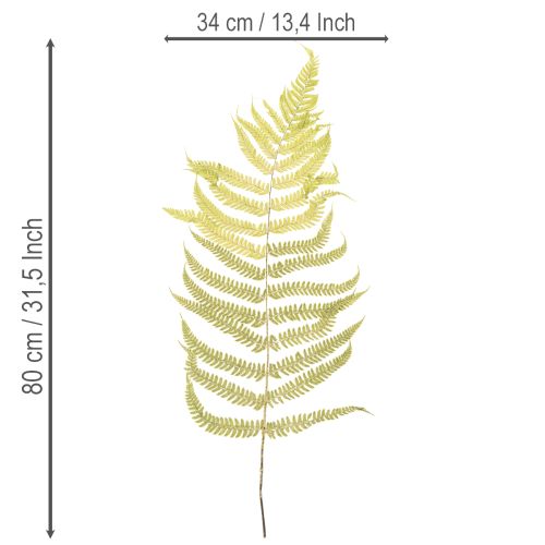 Itens Samambaia seca e preservada. Perfeita para decoração natural da casa. 80 cm