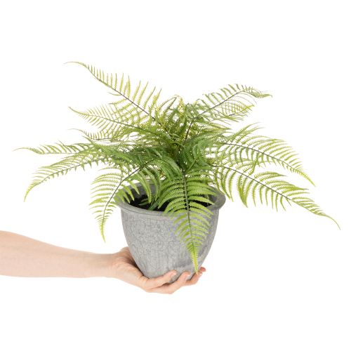 Samambaia artificial em vaso para sala de estar e escritório, 35 cm | Floristik24.pt