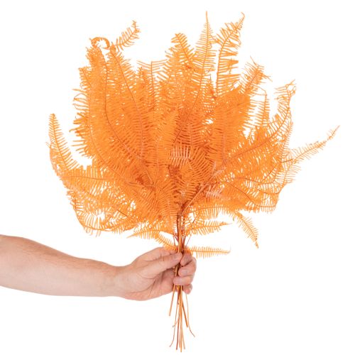 Ramo de samambaia, samambaia preservada, decoração seca para arranjos, 60 cm, 10 peças | Floristik24.pt