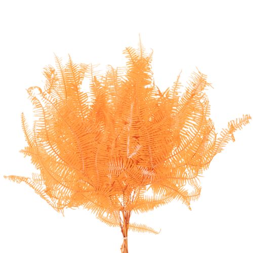 Ramo de samambaia, samambaia preservada, decoração seca para arranjos, 60 cm, 10 peças | Floristik24.pt