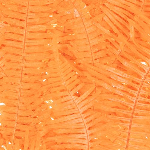 Ramo de samambaia, samambaia preservada, decoração seca para arranjos, 60 cm, 10 peças | Floristik24.pt
