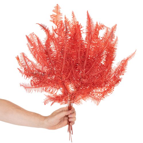 Samambaias, flores secas preservadas, decoração de outono, 60 cm, 10 peças | Floristik24.pt