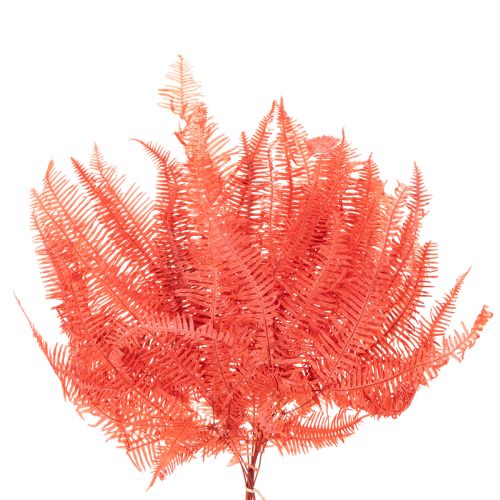 Samambaias, flores secas preservadas, decoração de outono, 60 cm, 10 peças | Floristik24.pt