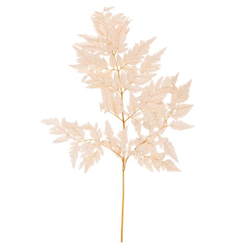 Decoração de samambaia seca para vaso de 42 cm, 10 peças comprar | Floristik24.pt