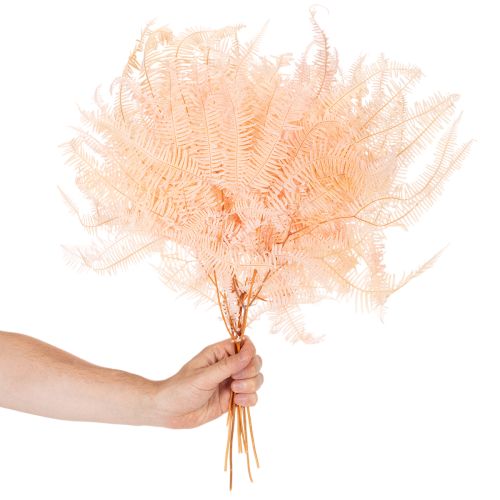 Folhas de samambaia secas, decoração de samambaia para vasos, 60 cm, 10 peças | Floristik24.pt