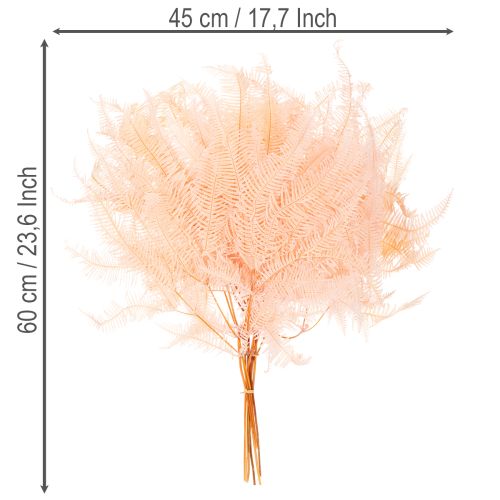 Folhas de samambaia secas, decoração de samambaia para vasos, 60 cm, 10 peças | Floristik24.pt