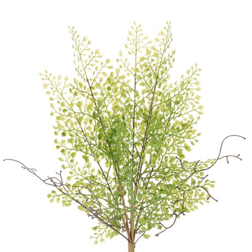 Ramo artificial de ruscus verde para decoração floral, 41 cm comprar | Floristik24.pt