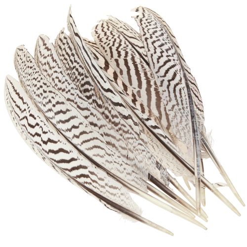 Itens Penas de faisão para artesanato marrom bege natural 20 cm 20 unidades
