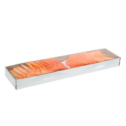 Floristik24 Borboleta pena 8cm laranja 24pcs
