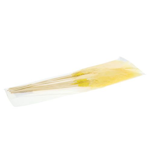 Floristik24 Mola no bastão L 30cm Amarelo 12pcs