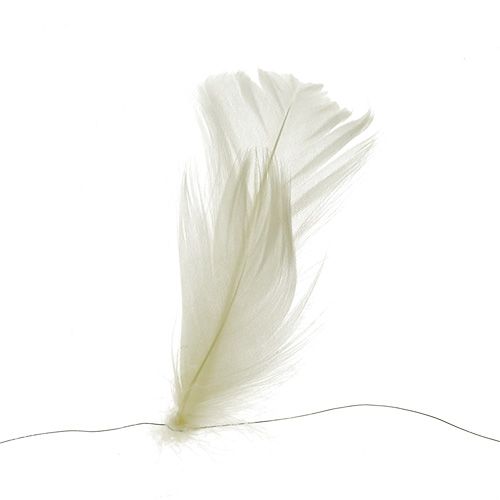 Floristik24 Pluma em creme de arame 10m