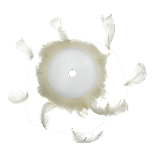 Floristik24 Pluma em creme de arame 10m