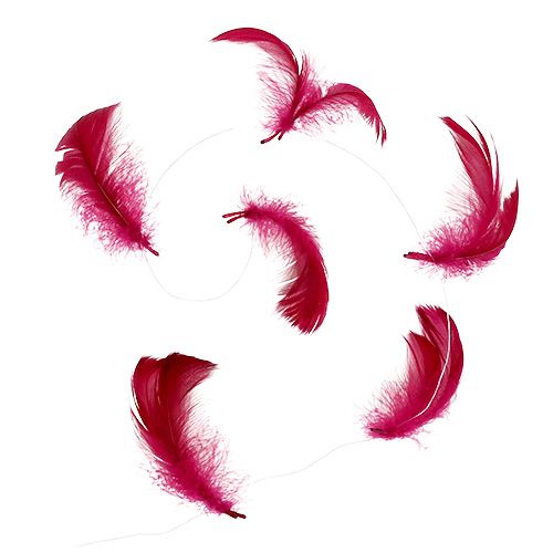 Floristik24 Mola no arame Erika 10m