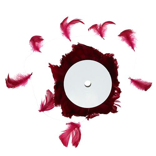 Floristik24 Mola no arame Erika 10m