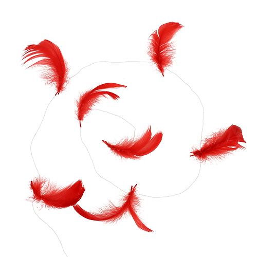 Floristik24 Mola em fio vermelho 10m
