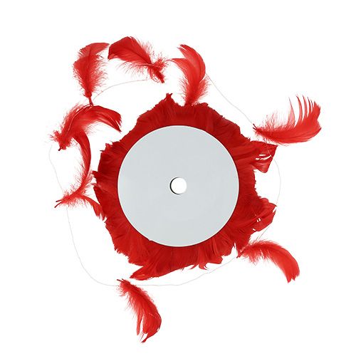 Floristik24 Mola em fio vermelho 10m