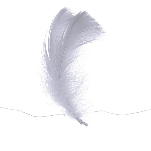 Floristik24 Mola no fio Branco 10m