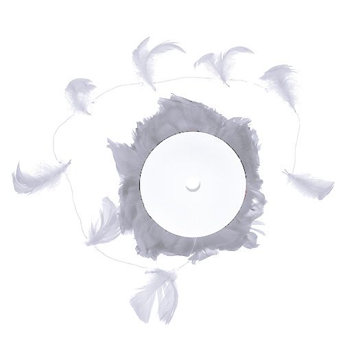 Floristik24 Mola no fio Branco 10m