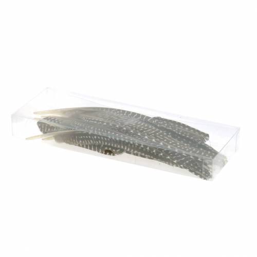 Floristik24 Penas naturais 18 - 24cm 10g