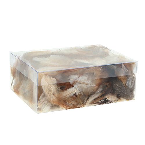 Floristik24 Tipo de pena. 5-15 cm natureza 228 peças