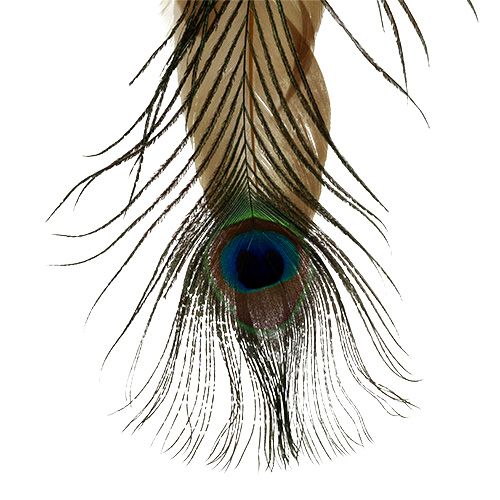 Floristik24 Pena de pavão cabide de penas 34 cm 3 unidades