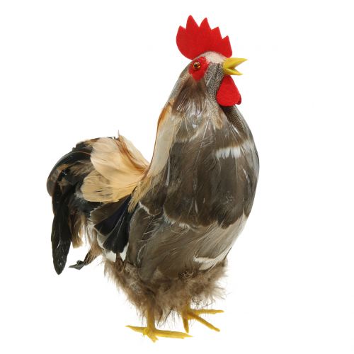 Itens Decoração de Páscoa galo e galinha com penas natureza Alt.26cm conjunto de 2