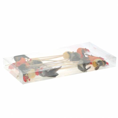 Floristik24 Galo com penas reais no palito laranja, amarelo, marrom sortido Alt.5-6cm 12 unid.