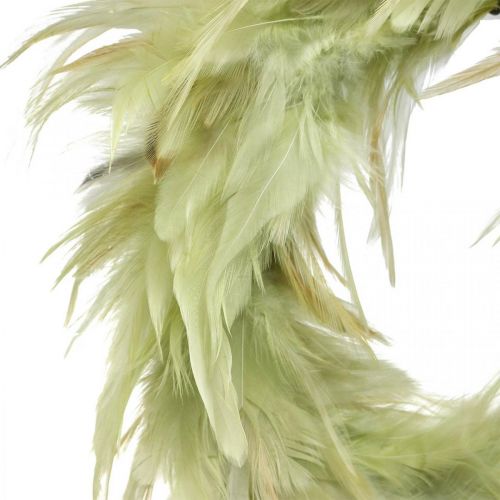 Floristik24 Coroa de penas decorativas verde Ø16cm coroa de penas reais decoração de primavera