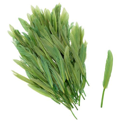 Floristik24 Penas decorativas para um ambiente elegante e decorações impressionantes. 10 cm