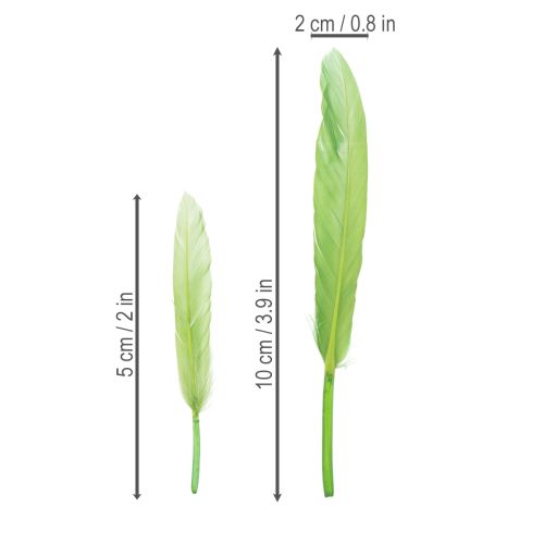 Itens Penas decorativas para um ambiente elegante e decorações impressionantes. 10 cm