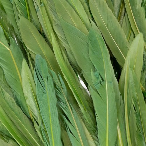 Itens Penas decorativas para um ambiente elegante e decorações impressionantes. 10 cm