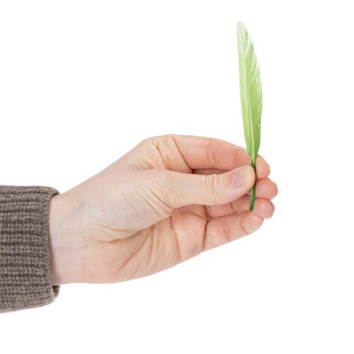 Itens Penas decorativas para um ambiente elegante e decorações impressionantes. 10 cm