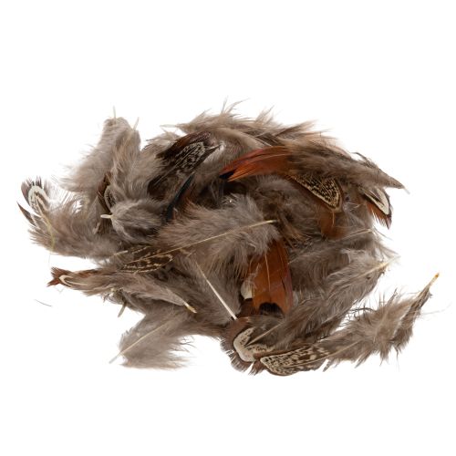 Floristik24 Penas para diversas ideias de artesanato, design criativo e decoração, 5 cm, 3 g