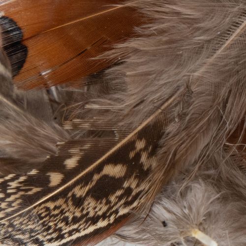 Itens Penas para diversas ideias de artesanato, design criativo e decoração, 5 cm, 3 g