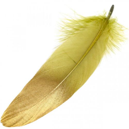 Penas para artesanato Penas decorativas Verde-dourada L16-20cm 24pcs