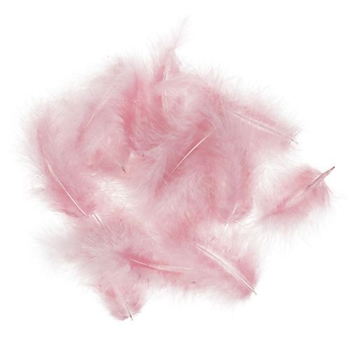 Floristik24 Penas curtas 30g rosa