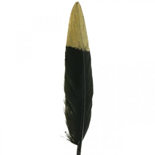 Itens Penas decorativas pretas, penas reais douradas para artesanato 12-14 cm 72 unidades