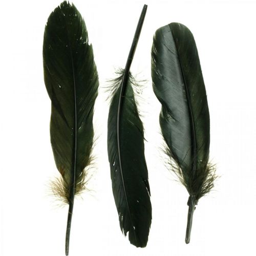 Itens Deco penas penas de pássaro preto para artesanato 14-17cm 20g