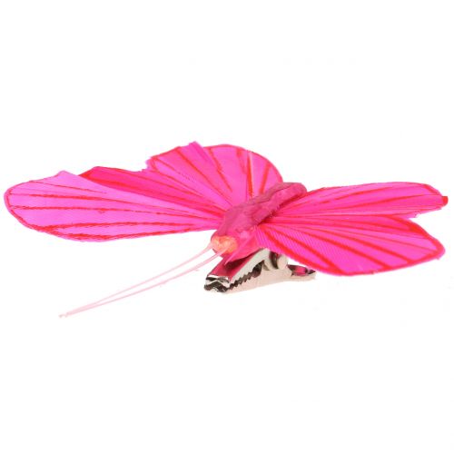 Floristik24 Borboleta de penas em clipe colorido 6 cm 12 unidades