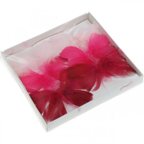 Floristik24 Borboletas de penas rosa/rosa/vermelho, borboletas deco no fio 6pcs