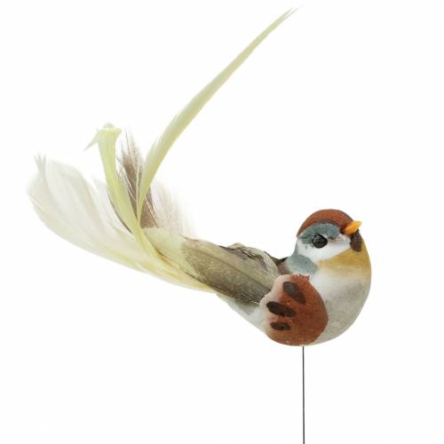 Floristik24 Pássaro em um fio 5,5 cm colorido 9pcs