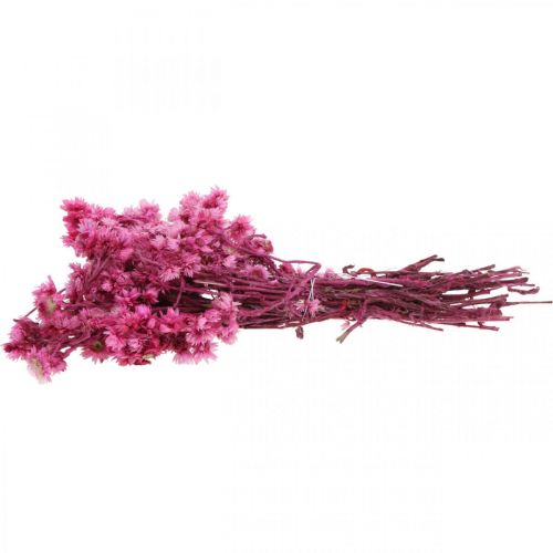 Itens Mini Flor de Palha Rosa Flor Seca Flor Rocha H20cm 15g