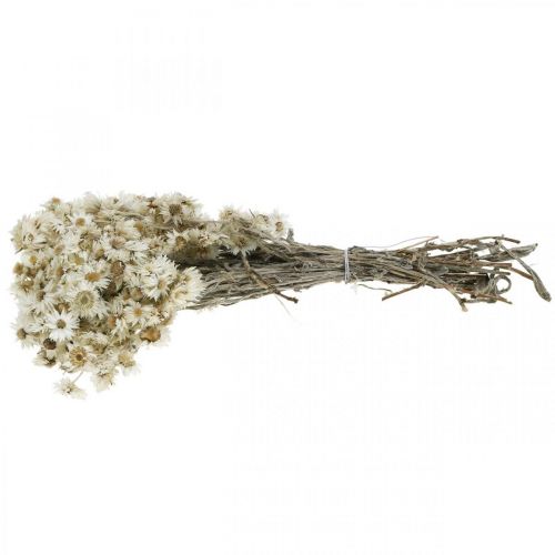 Floristik24 Mini Flor de Palha Flor Seca Branca Flor Deco Rock H20cm 15g