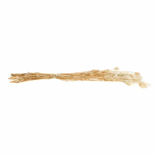 Itens Erva-doce flores secas branqueadas 100g