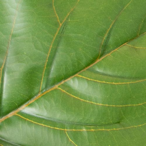 Ficus lyrata artificial de 120 cm para decoração de sala de estar. | Floristik24.pt