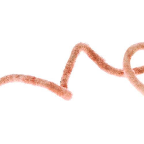 Floristik24 Cordão de feltro Cordão de lã com fio Rauris fio rosa 20m