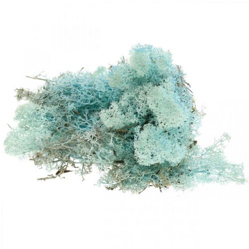 Itens Decoração musgo azul claro água-marinha rena musgo artesanato musgo 400g