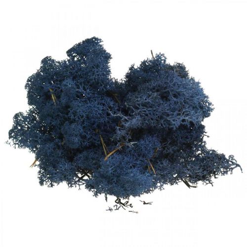 Itens Deco musgo azul musgo seco para artesanato colorido 500g