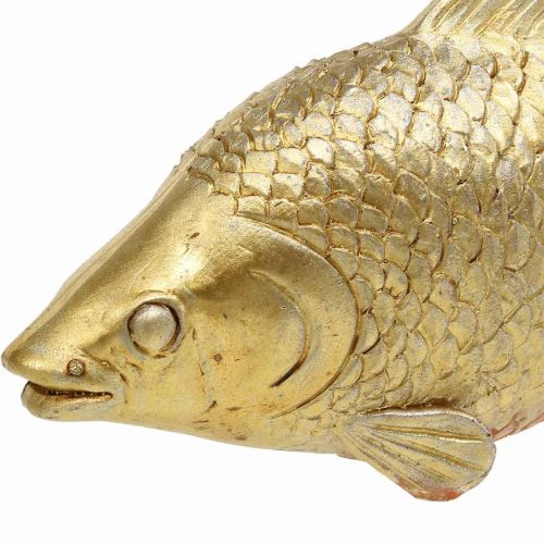 Floristik24 Estátua decorativa de peixe dourado para suporte escultura de peixe poliresina pequena L18cm